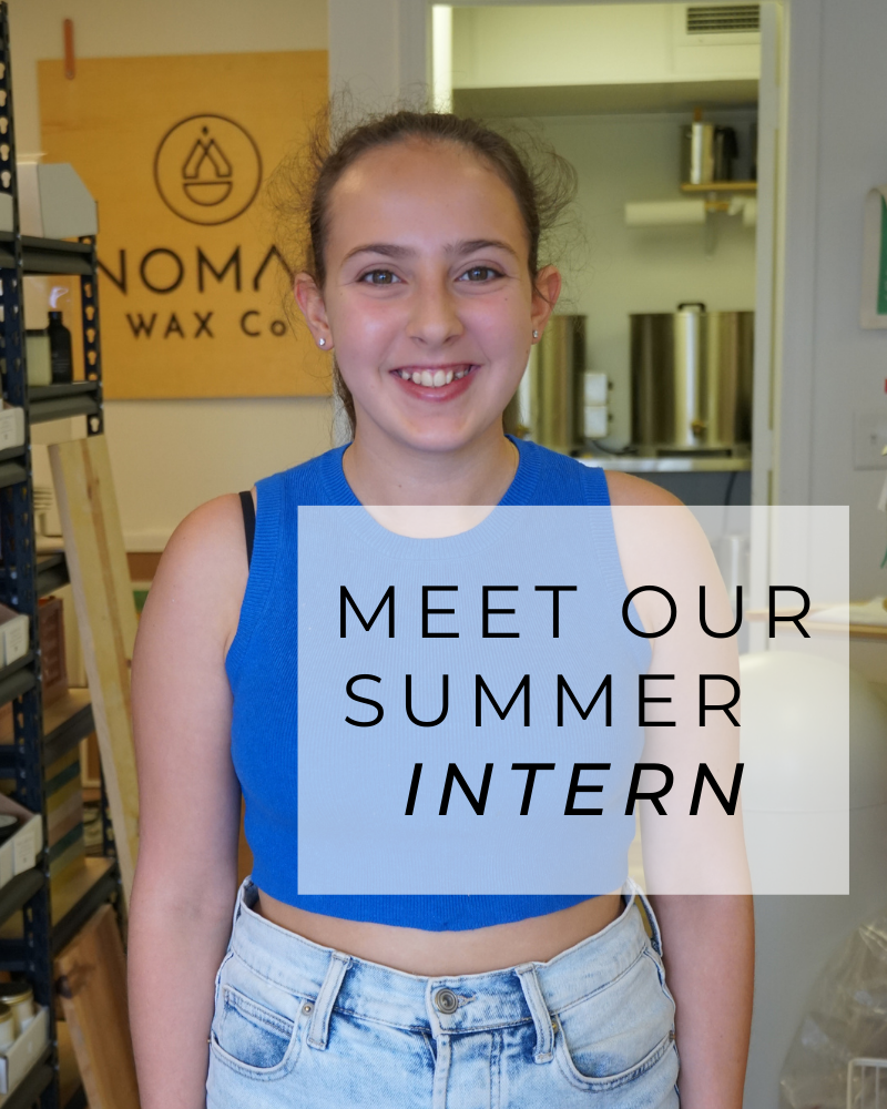 Meet our Summer Student Intern Sofia