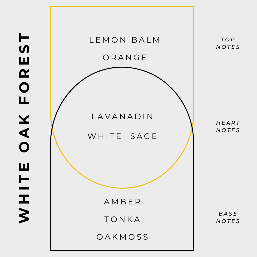 White Oak Forest Bestseller Home Fragrance Bundle