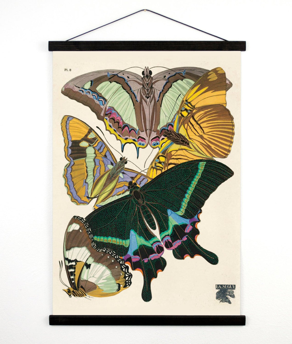 Vintage Natural History Butterfly Seguy 8 Canvas Print-18x24